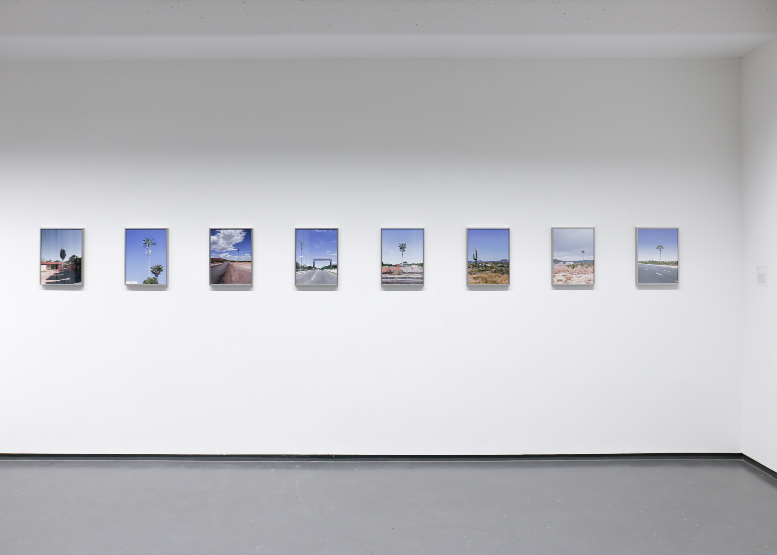 untitled (estaciones radioeléctricas camuflajeadas), installation view of the graduation exhibition: the eight works hung in a row
